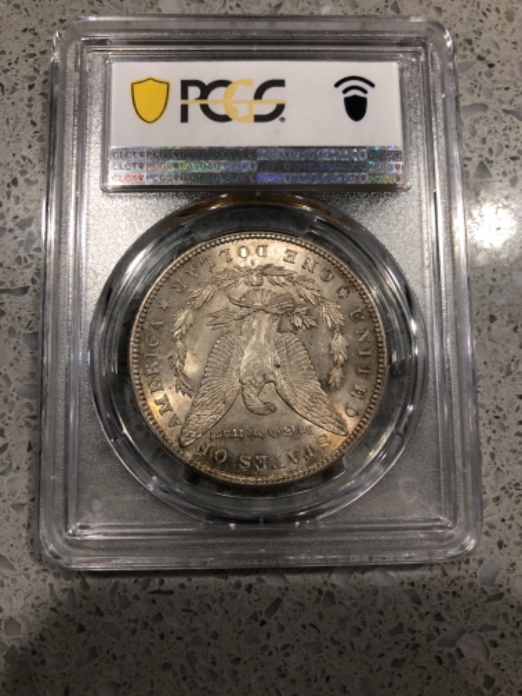 PCGS-Morgan-Dollar-Basic-Set